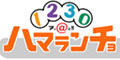 2010fc73.jpg
