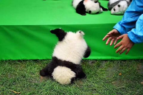 no title