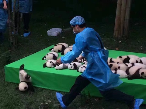 no title