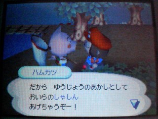 しゃしん1