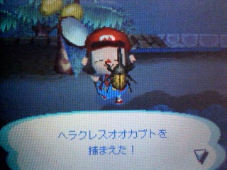 ラストヘラクレス
