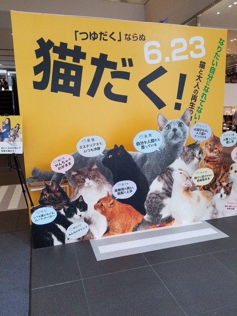 20180605_160925