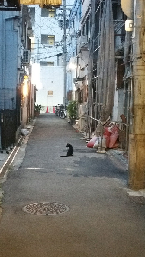 20170823_184527