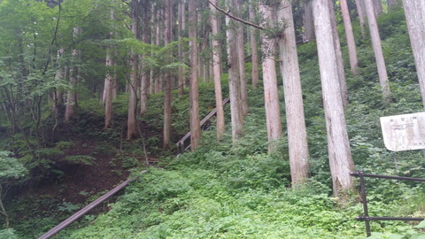 20170812_100608