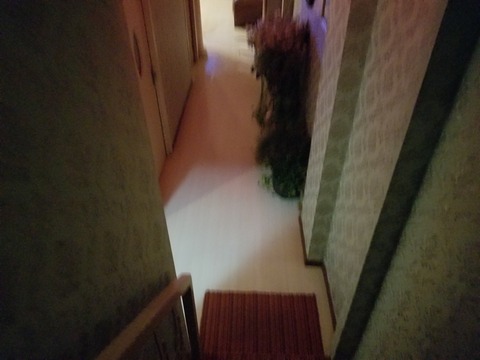 201803213_183356