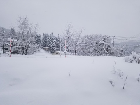 20171218_100718
