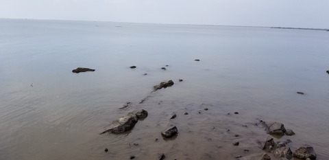 fwefwe (1)