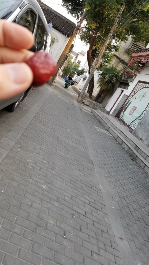 ilovesuzhou (17)