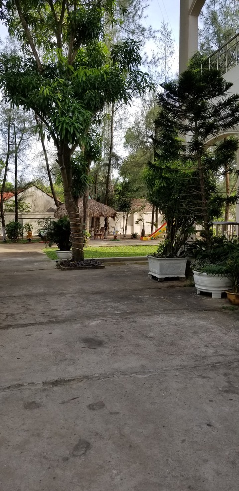 ccc (20)