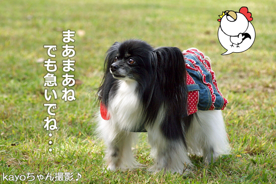 ¡Ú¥µ¥¶¥ª¥Õ¡¦2014¡Û¡ú¤½¤Î3¡¡¼«¸Ê¾Ò²ð¥¿¡Á¥¤¥à¢ö¡¡24