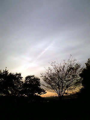 É԰¤Ƿù¤Ê¤³¤È