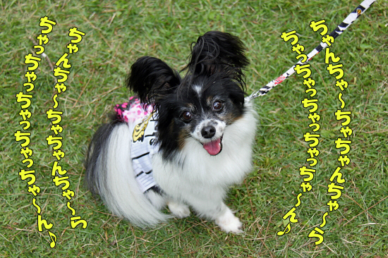 ¡Ú¥µ¥¶¥ª¥Õ2011¡Û part2¡¡17