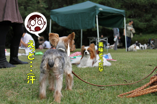 ¡Ú¥µ¥¶¥ª¥Õ2011¡Û part5¡¡15