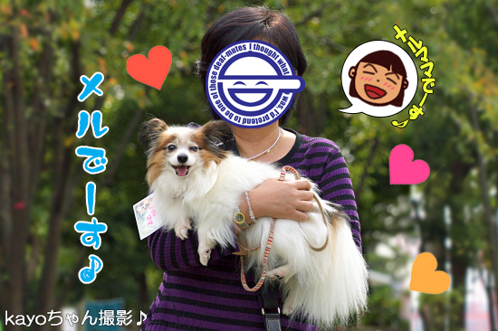 ¡Ú¥µ¥¶¥ª¥Õ¡¦2014¡Û¡ú¤½¤Î3¡¡¼«¸Ê¾Ò²ð¥¿¡Á¥¤¥à¢ö¡¡15