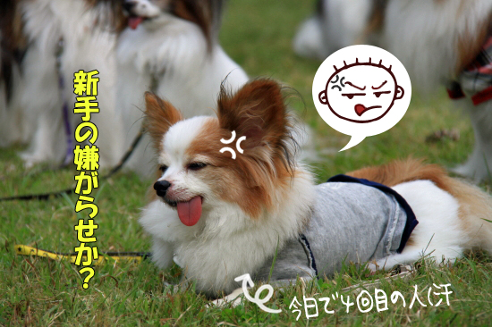 ¡Ú¥µ¥¶¥ª¥Õ2011¡Û part5¡¡11