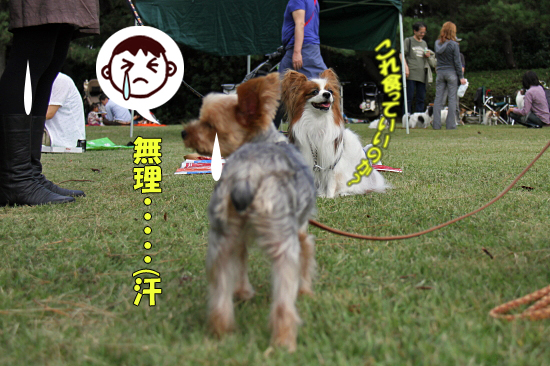 ¡Ú¥µ¥¶¥ª¥Õ2011¡Û part5¡¡16