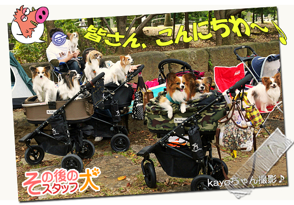 ¡Ú¥µ¥¶¥ª¥Õ¡¦2014¡Û¡ú¤½¤Î3¡¡¼«¸Ê¾Ò²ð¥¿¡Á¥¤¥à¢ö¡¡11