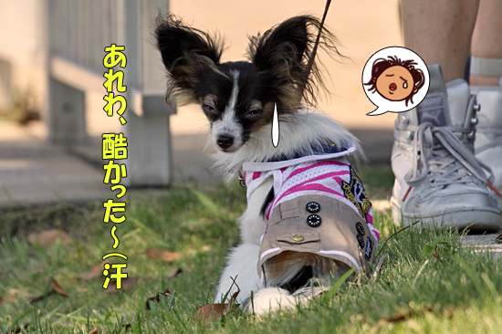 ¡Ú¥µ¥¶¥ª¥Õ¡¦2014¡Û¤Î½àÈ÷¾õ¶·¡¦¡¦¡¦¡¡05