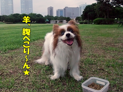 ¥¦¥ë¥È¥é¥½¥¦¥ë¡ú¦