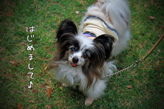 ¡Ú¥µ¥¶¥ª¥Õ2011¡Û part5¡¡22