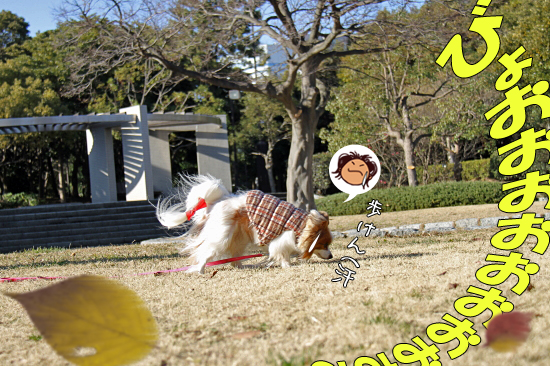 ÀÖ¤Á¤ã¤ó¥µ¥¶¥Ó¡¼¡¦¡¦¡¦¡¡05