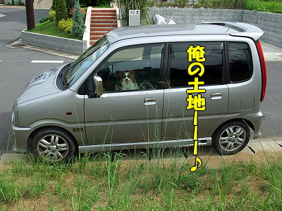 ¶õ¤ÃÏ£