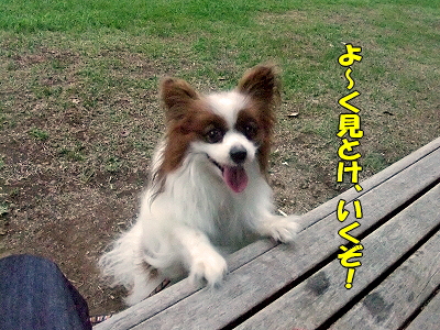 ¥¦¥ë¥È¥é¥½¥¦¥ë¡úª