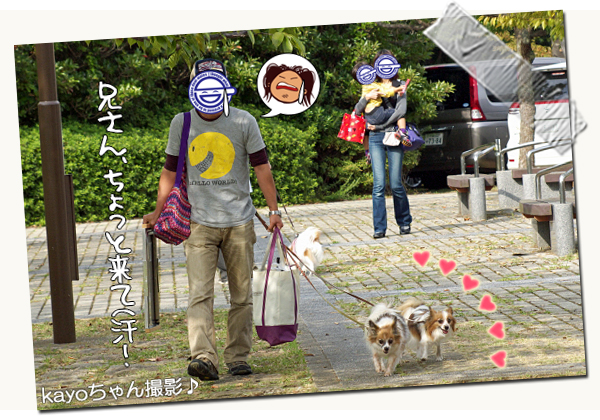 ¡Ú¥µ¥¶¥ª¥Õ¡¦2014¡Û¡ú¤½¤Î3¡¡¼«¸Ê¾Ò²ð¥¿¡Á¥¤¥à¢ö¡¡16