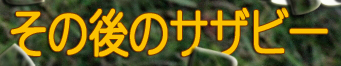¤½¤Î¸å¤Î¥µ¥¶¥Ó¡¼
