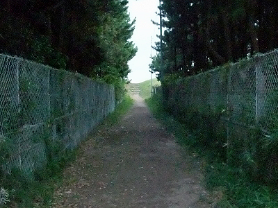 ²Æ¤Î³¤¥
