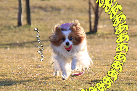 ¤½¤·¤ÆÌÛÅø¤Ø¡¦¡¦¡¦¡¡06