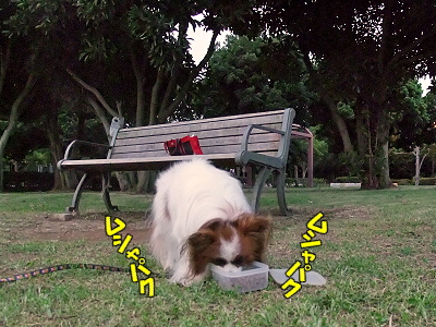 ¥¦¥ë¥È¥é¥½¥¦¥ë¡ú§
