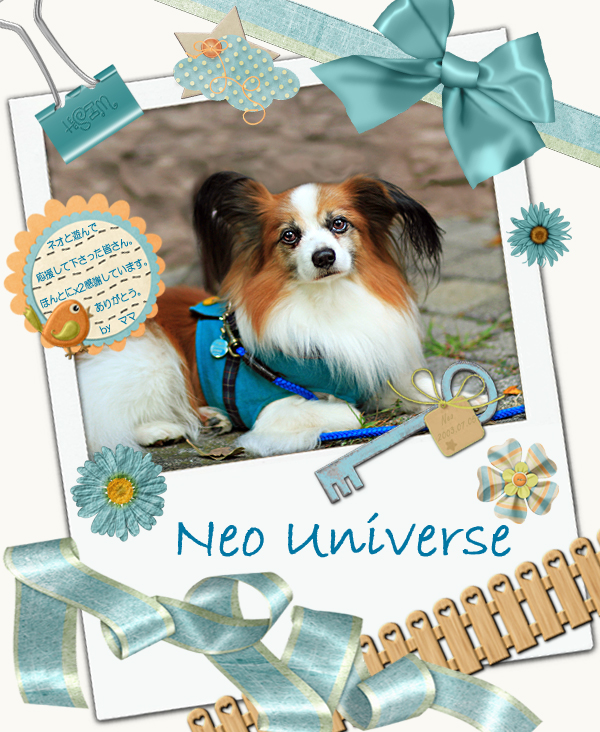 Neo Universe¡¡16