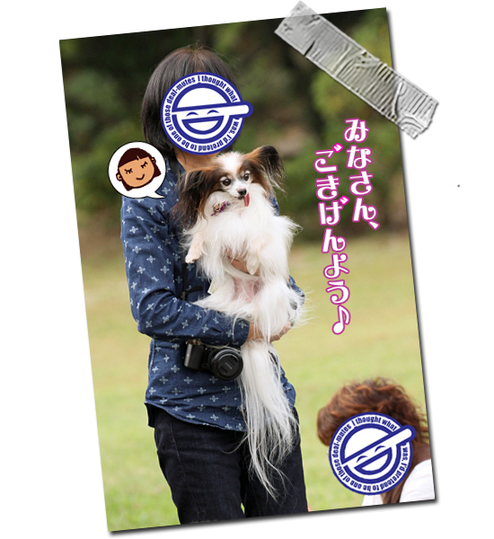 ¡Ú¥µ¥¶¥ª¥Õ¡¦2014¡Û¡ú¤½¤Î3¡¡¼«¸Ê¾Ò²ð¥¿¡Á¥¤¥à¢ö¡¡04