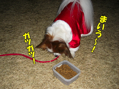 ÌÂÏǤʥµ¥ó¥¿¡¦¡¦¡¦¨