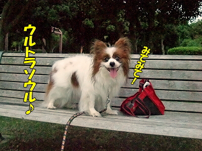 ¥¦¥ë¥È¥é¥½¥¦¥ë¡ú®