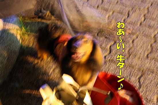 ¥µ¥Þ¡¼¥½¥Ë¥Ã¥¯¡¦2010¢ö¡ÊÁ°ÊÔ¡Ë´
