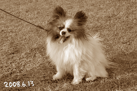 ¤½¤·¤ÆÌÛÅø¤Ø¡¦¡¦¡¦¡¡16