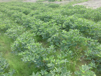 CIMG0975