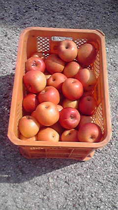 2012051408270000