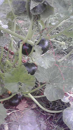 2011091715180000