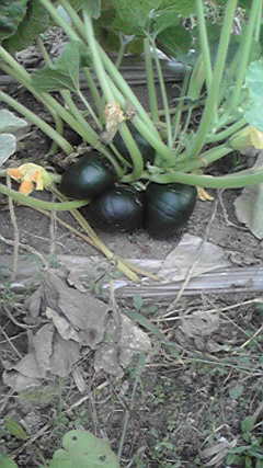 2011091715200000