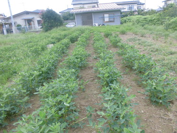 CIMG0951