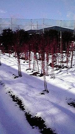 2010010809360000