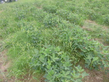 CIMG0950