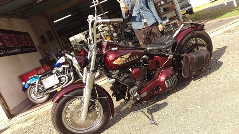 IMAG6559