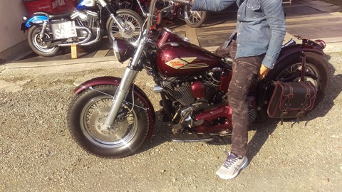 IMAG6562