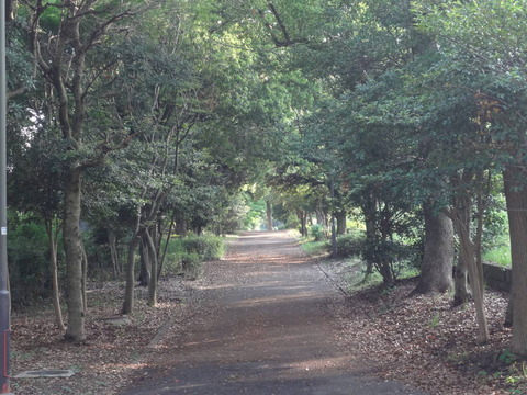 DSC03995