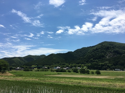 市島製パン景色