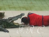 プーケット観光ツアー予約はしまかぜ案内人まで